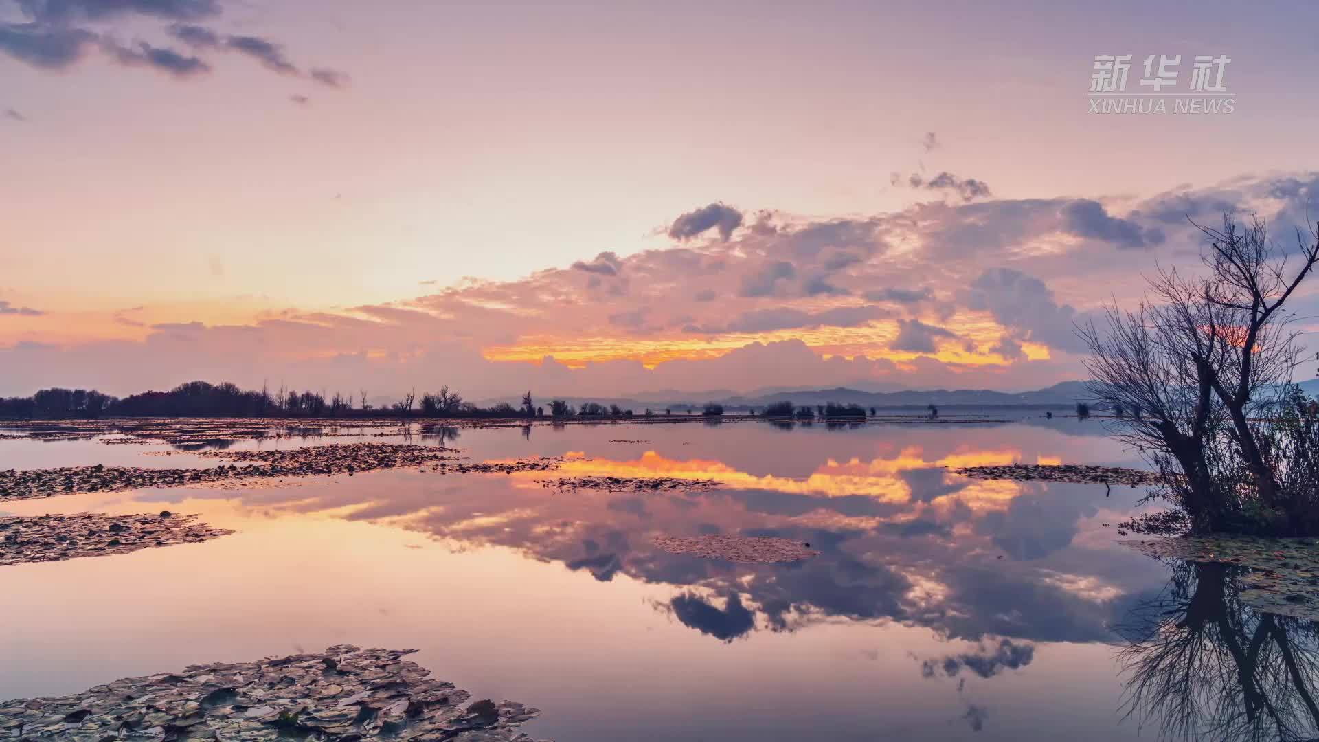 世界湿地日：滇池南岸 候鸟乐园