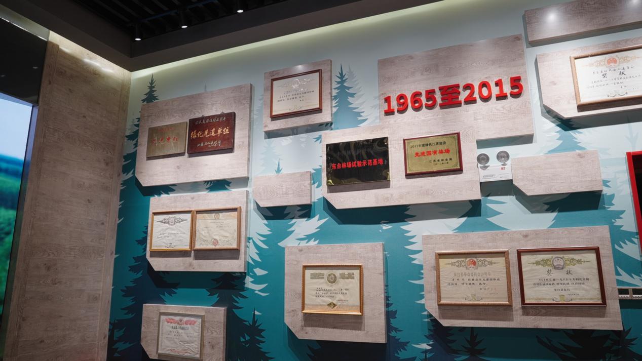 东台市｜只争朝夕抓发展开新局