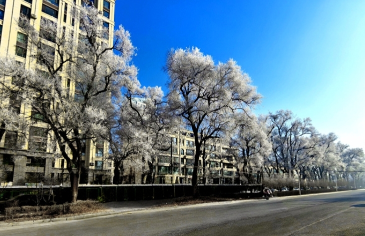 吉林市丰满区迎来雾凇奇观