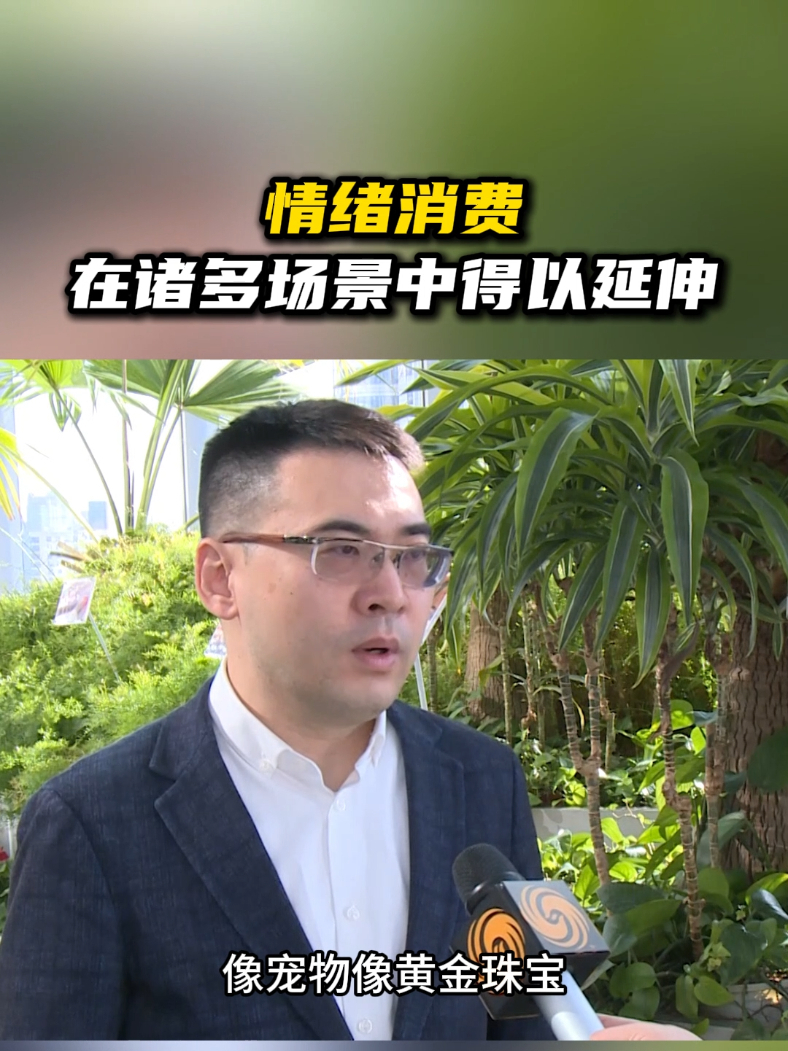 华泰樊俊豪:情绪消费在诸多场景中得以延伸 #财经 #投资 #消费_凤凰网视频_凤凰网