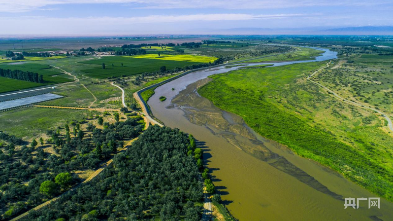 石羊河湿地公园（央广网发　民勤县融媒体中心供图）