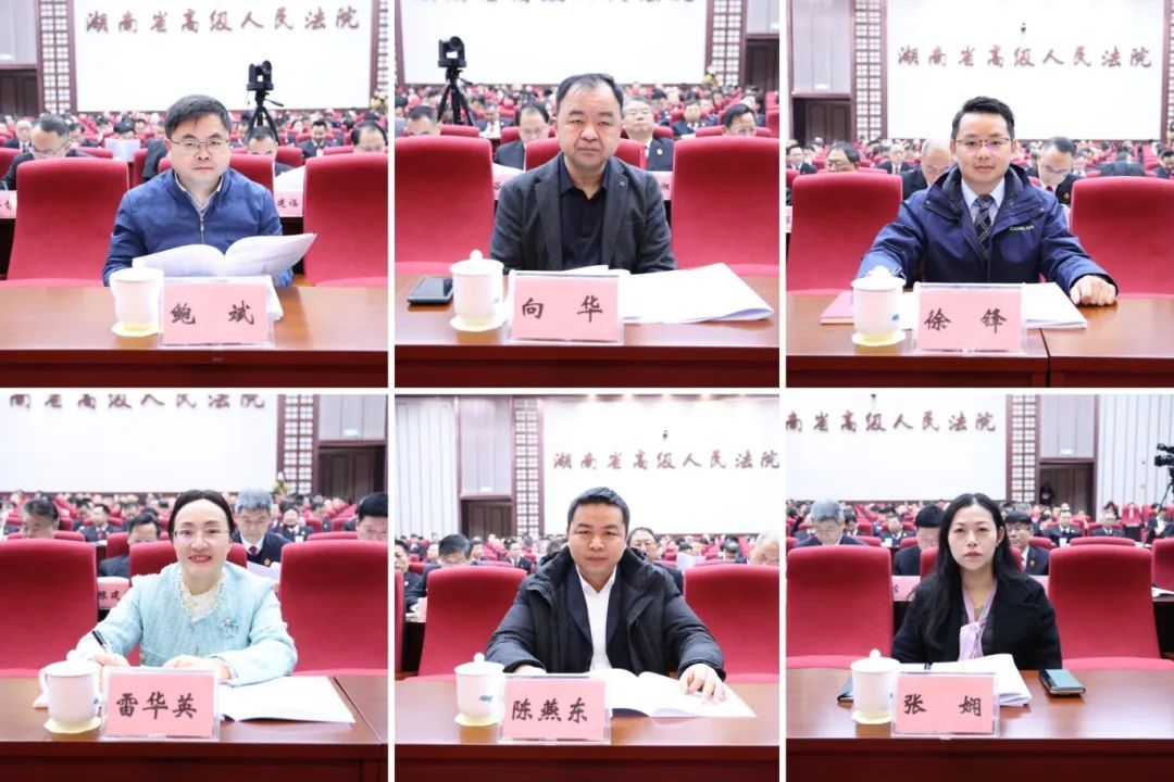 部分全国人大代表、全国政协委员,省人大代表、省政协委员,湖南高院特约监督员受邀参会