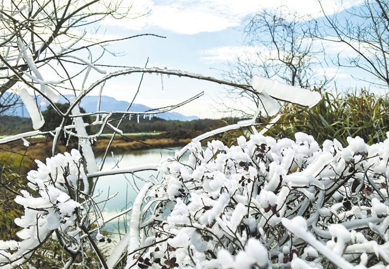 九江八里湖新区：冰挂景观美如画（图）