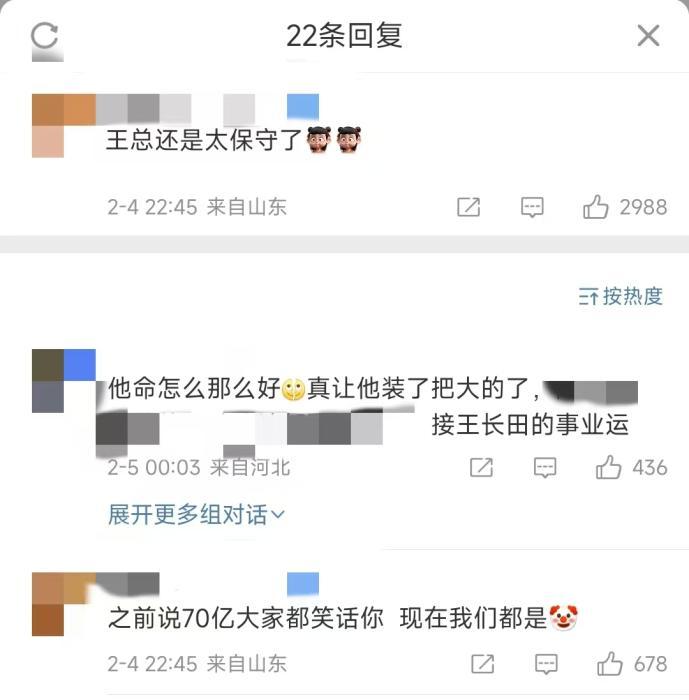 网友评论截图