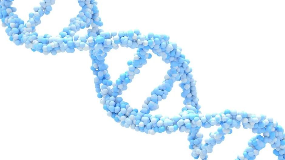 图库版权图片,转载使用可能引发版权纠纷