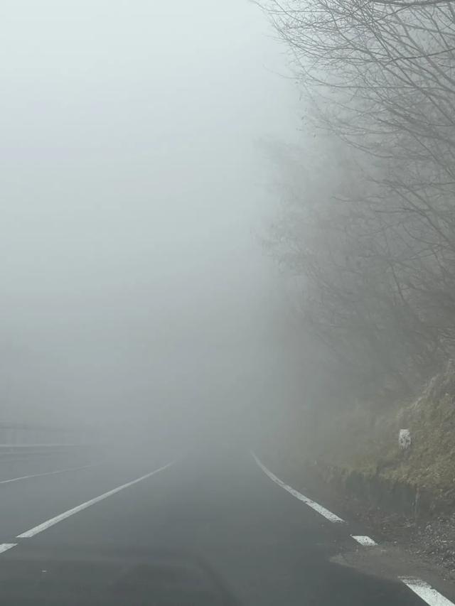 惊魂的一天：意大利自驾导航出错，迷失在深山老林中…