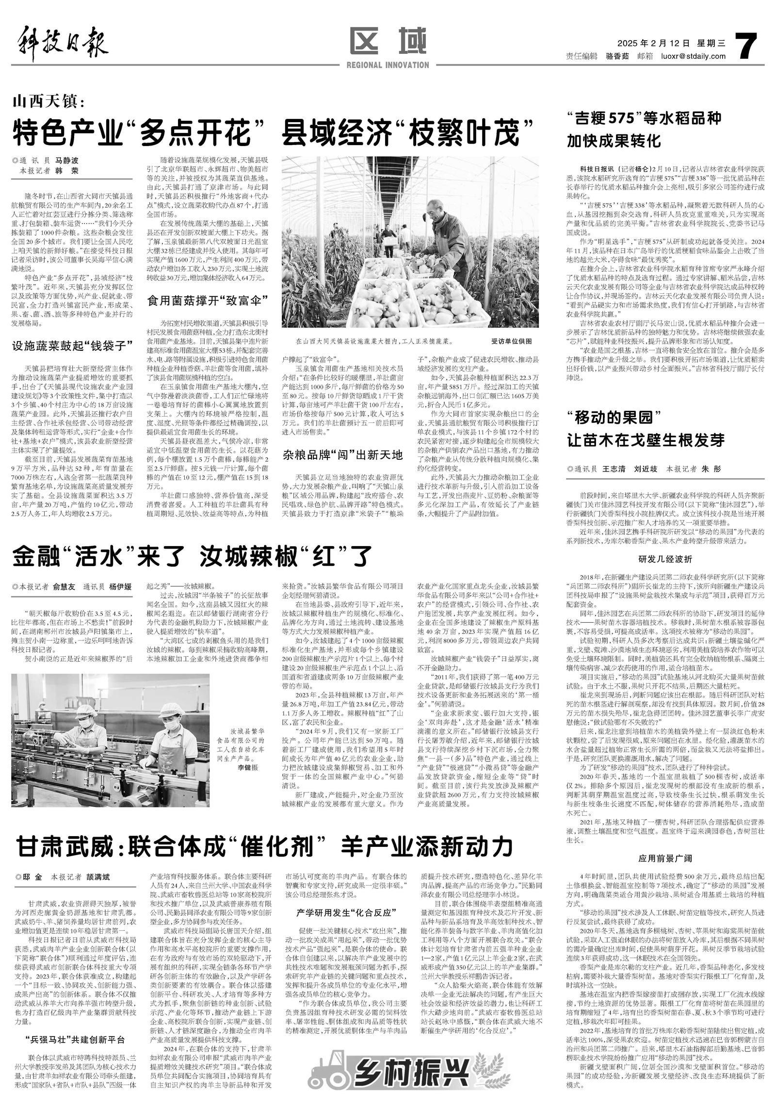 联合体"智"撑乡村振兴　甘肃乳都转型升级走"羊"关道