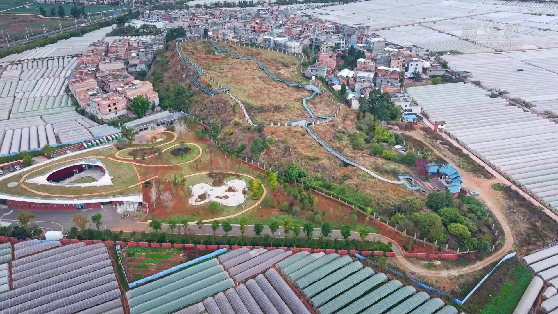 遇见古滇国青铜器上的蛇元素