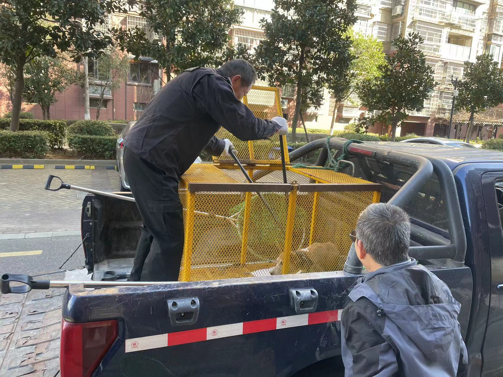 江北区:执法+社区服务接力 解老人“心头难”