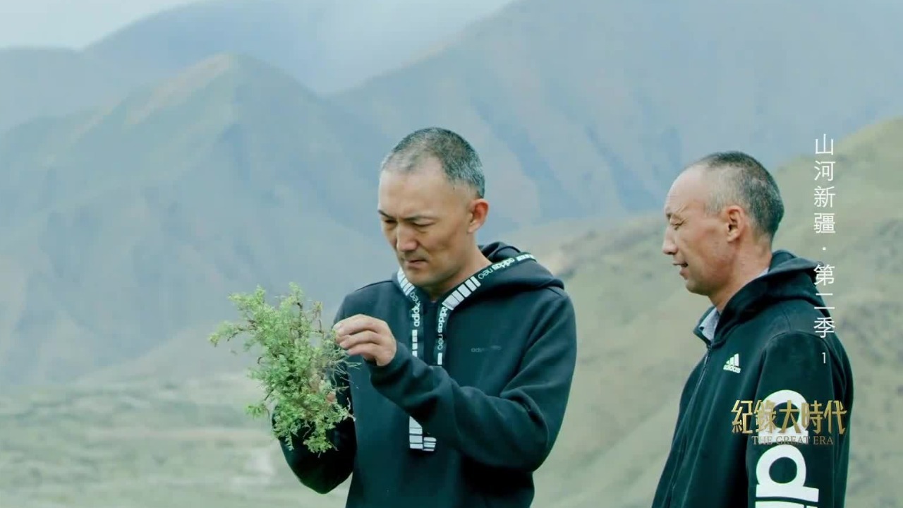 蒙医进山从不过度采集药材，敬畏自然是伴随他们一生的法则