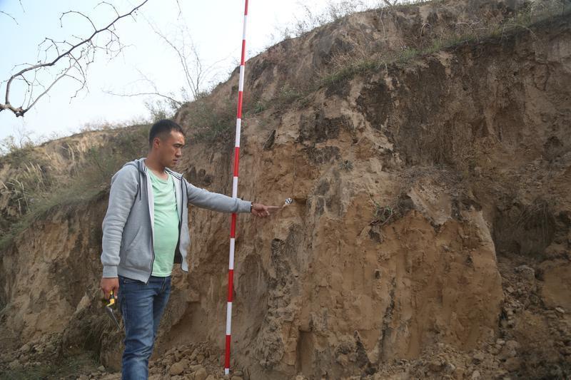 倍甘旧石器遗址地层标本指认
