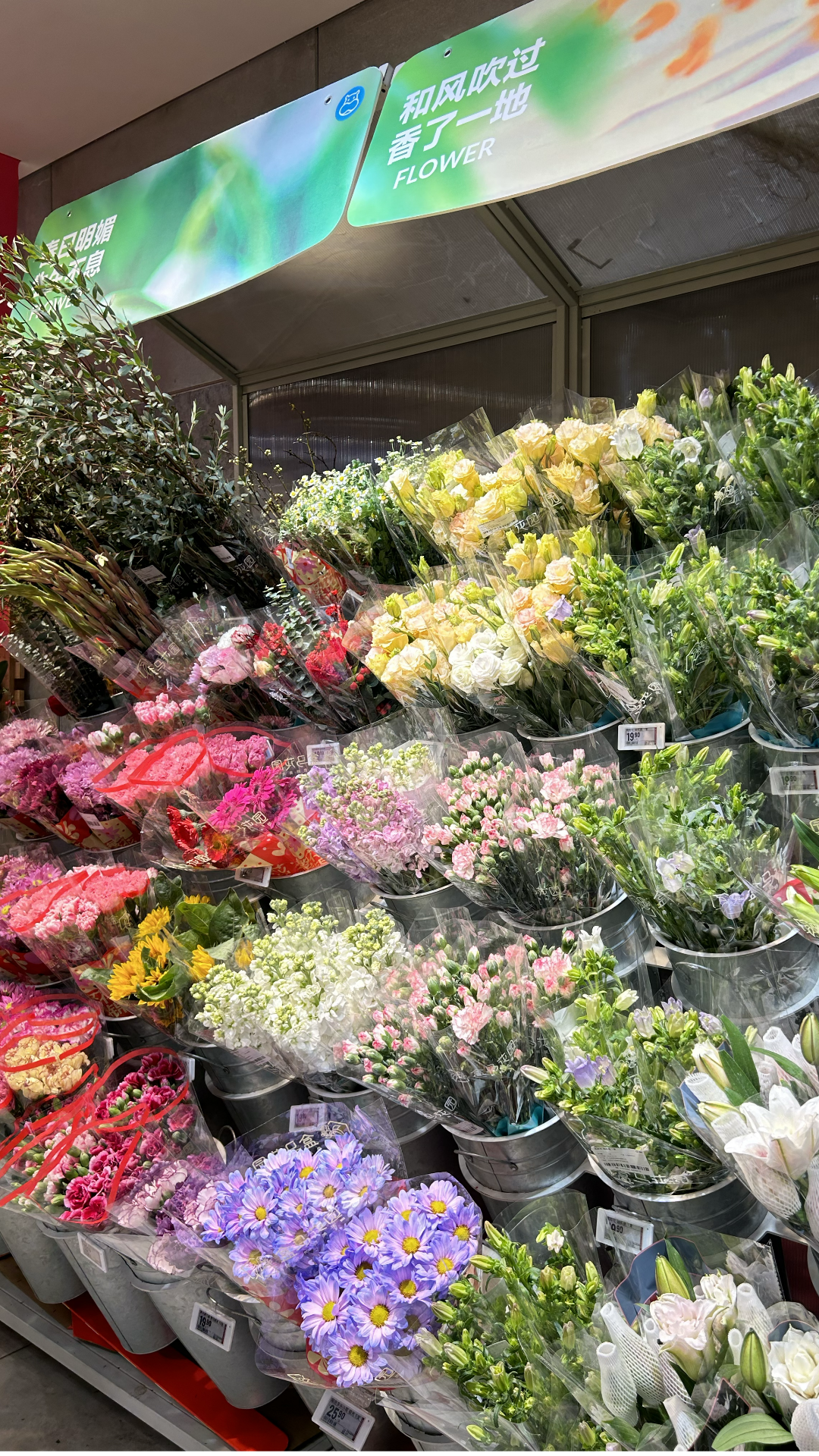 长沙又迎鲜花消费热 盒马时令春花销售翻数倍