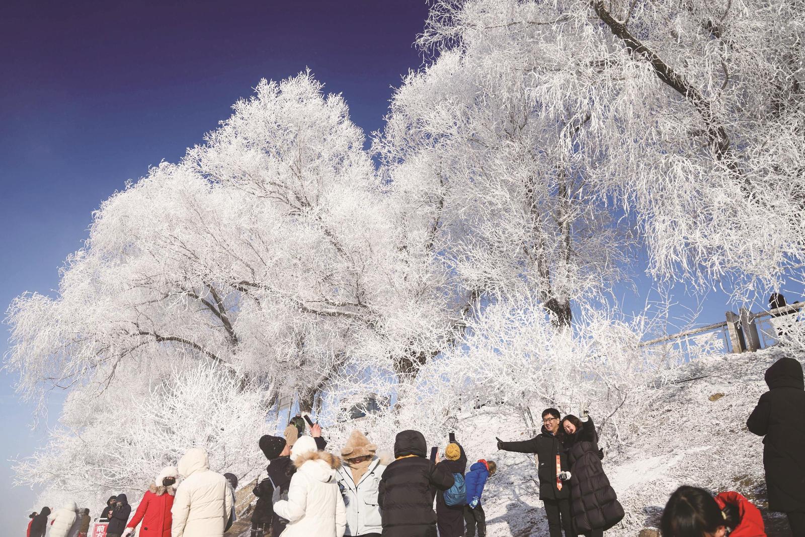 2月10日，“行走雾凇之都 遇到滑雪天堂”全国主流媒体团在吉林市小雾凇岛调研采访。 本报记者 赵博 潘硕 摄