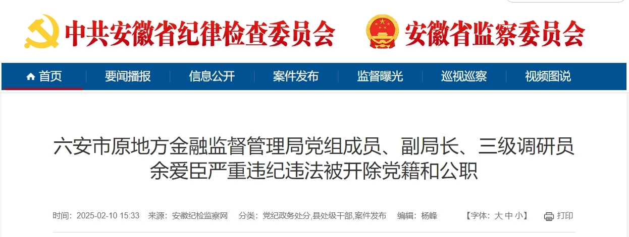 造成国有资产重大损失，安徽一干部被“双开”