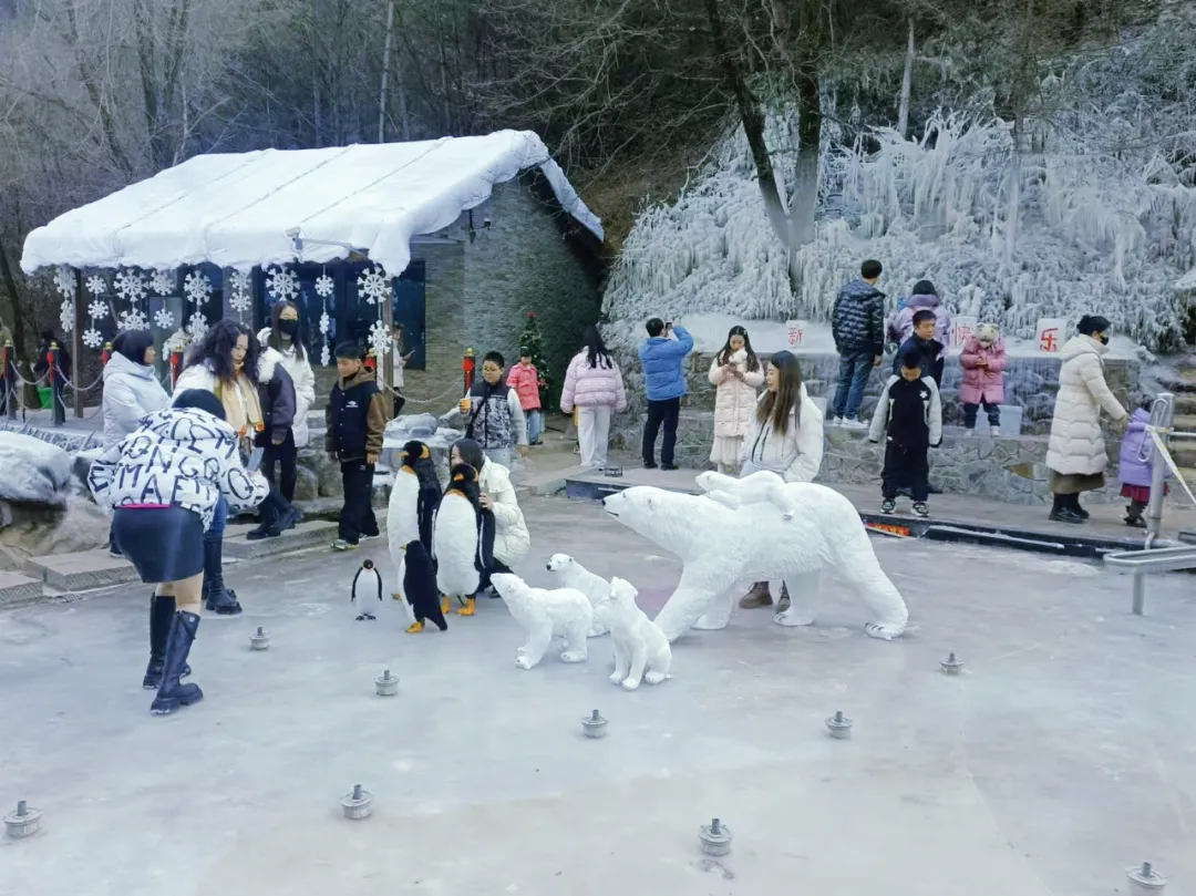 产业项目争相“起跑”　华亭奋战首季开门红