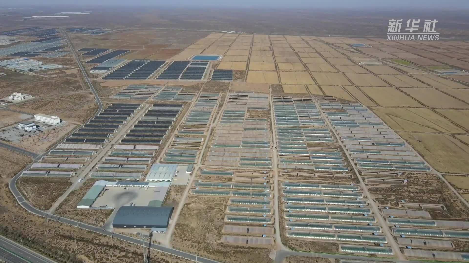 甘肃古浪：日光温室“添彩”戈壁滩