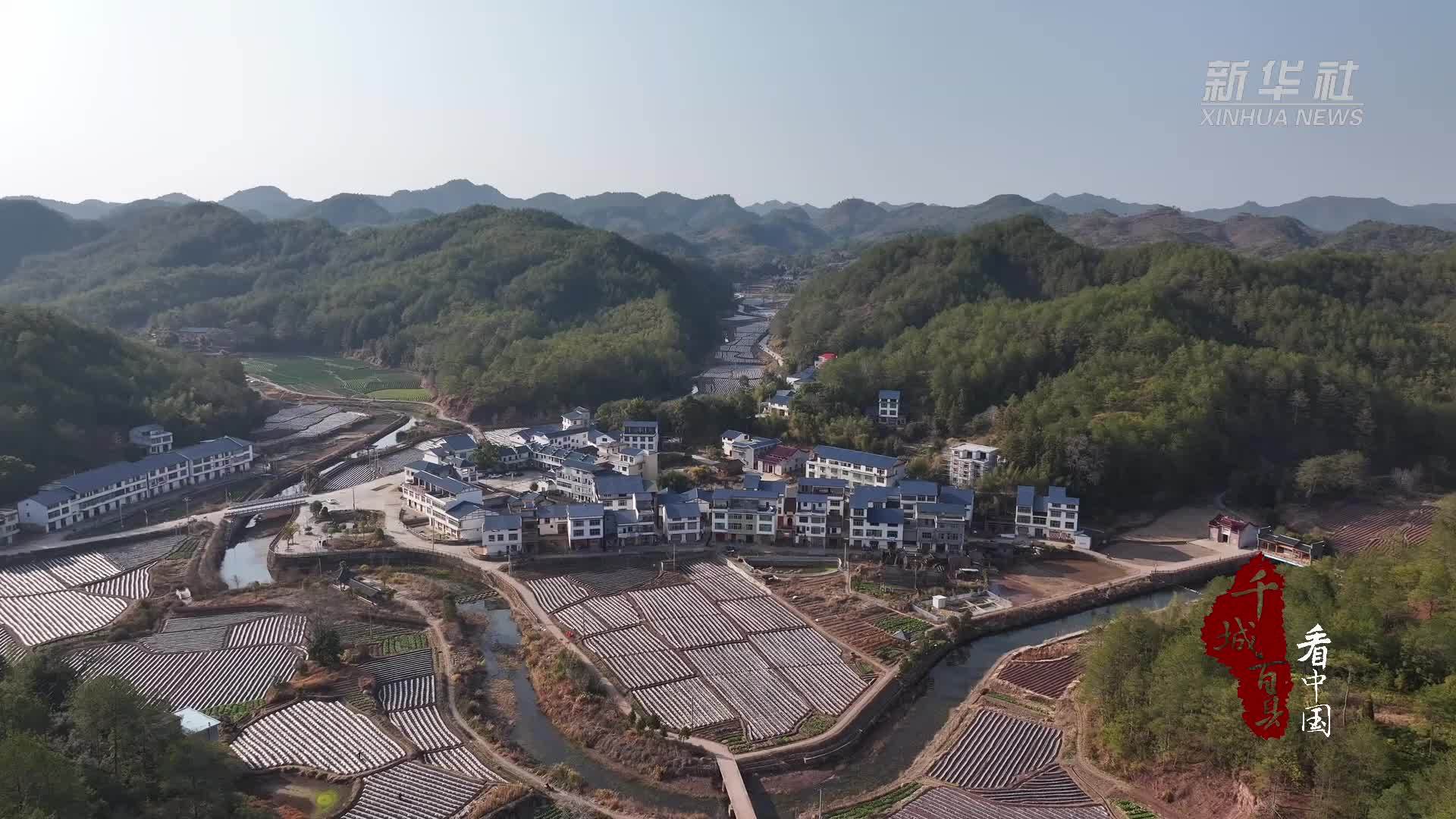 千城百县看中国｜福建宁化：冬闲田变“聚宝盆”