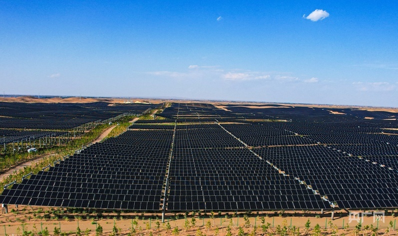 九墩滩光伏治沙示范园区一角（央广网发　凉州区委宣传部供图）
