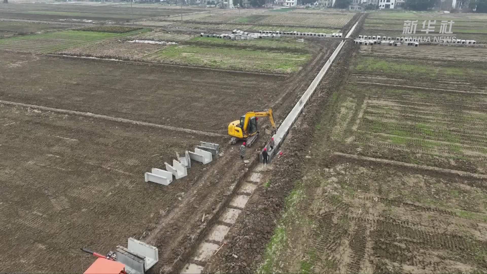 湖南资阳：万亩良田升级“防涝网”