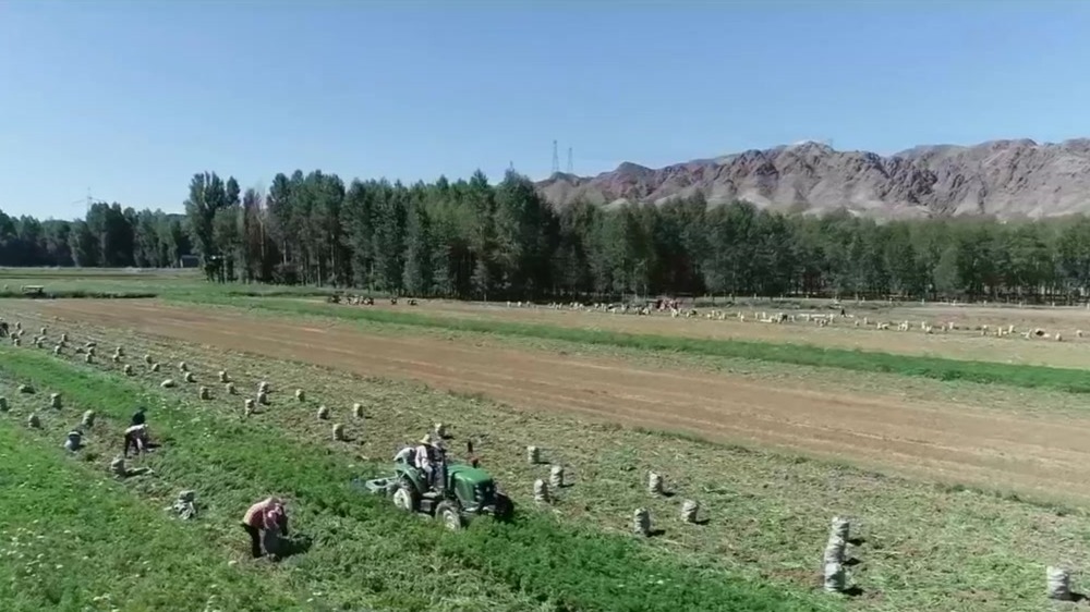 甘肃：紧盯农村“三资”管理　监督护航乡村振兴