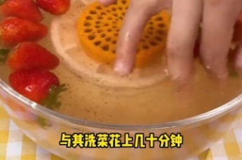 荣事达钛食材净化机 安心畅食每一餐
