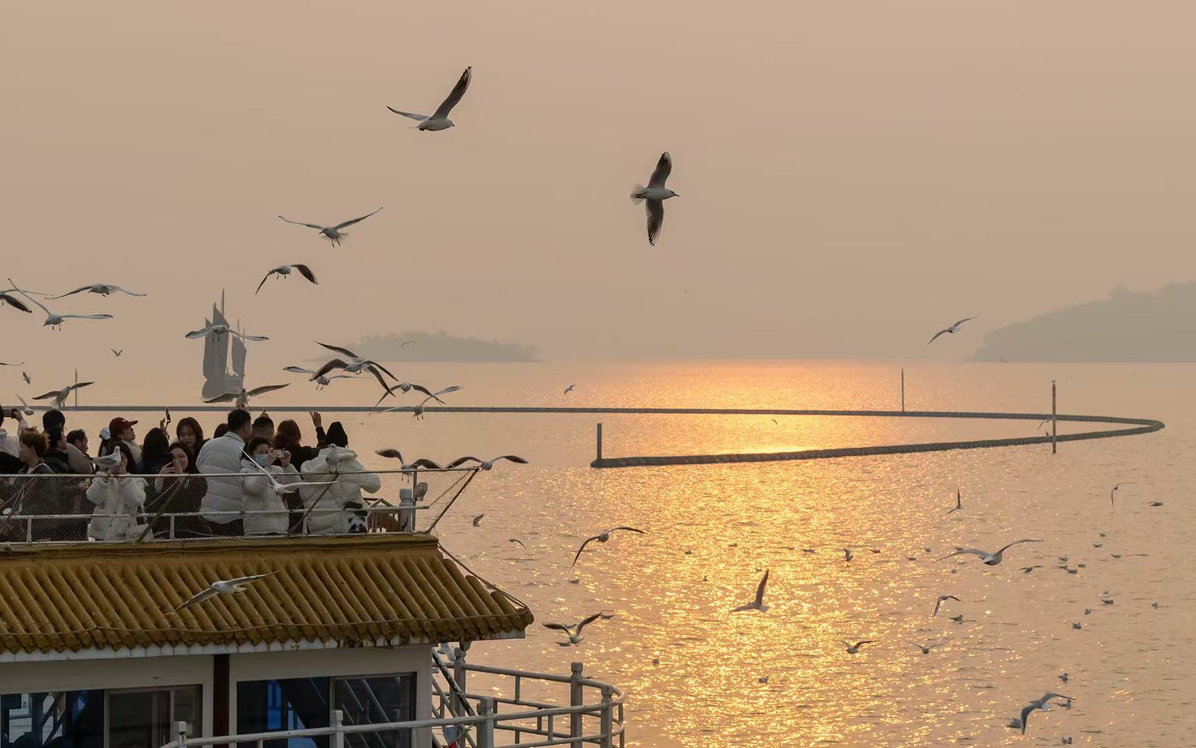 飞越6000公里！无锡哪里来的“锡”引力？