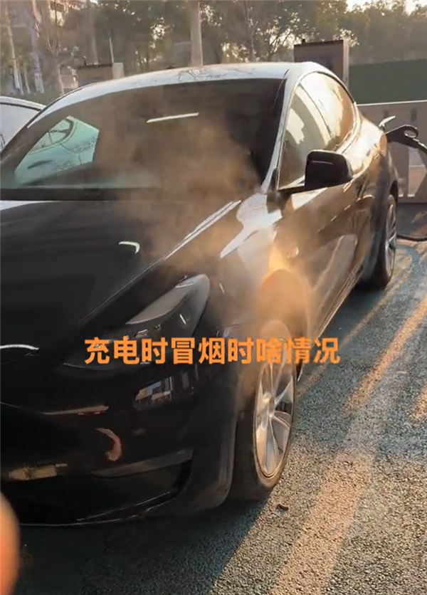 一特斯拉Model Y夜间充电时冒出白气：非起火前兆、无须担心