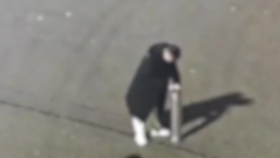 男子放礼花弹爆炸离世：该礼花弹市面上不能售卖，需专业人员燃放