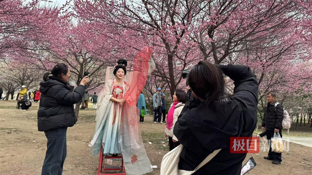 gogo体育入口武汉梅开陆续迎来观赏期 市民争相打卡感受诗意春天(图7)