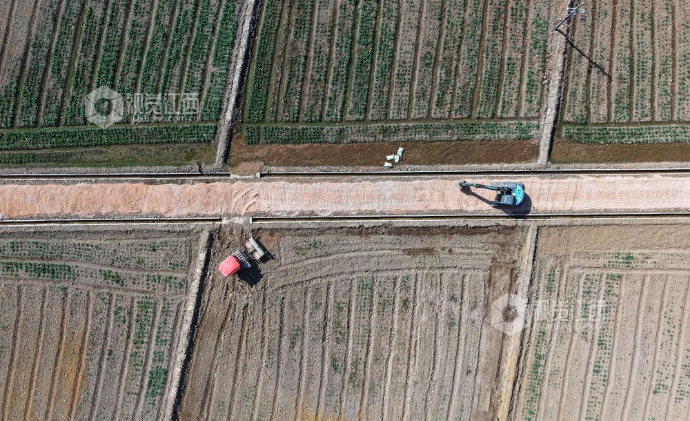 宁都县：人勤春早（图）