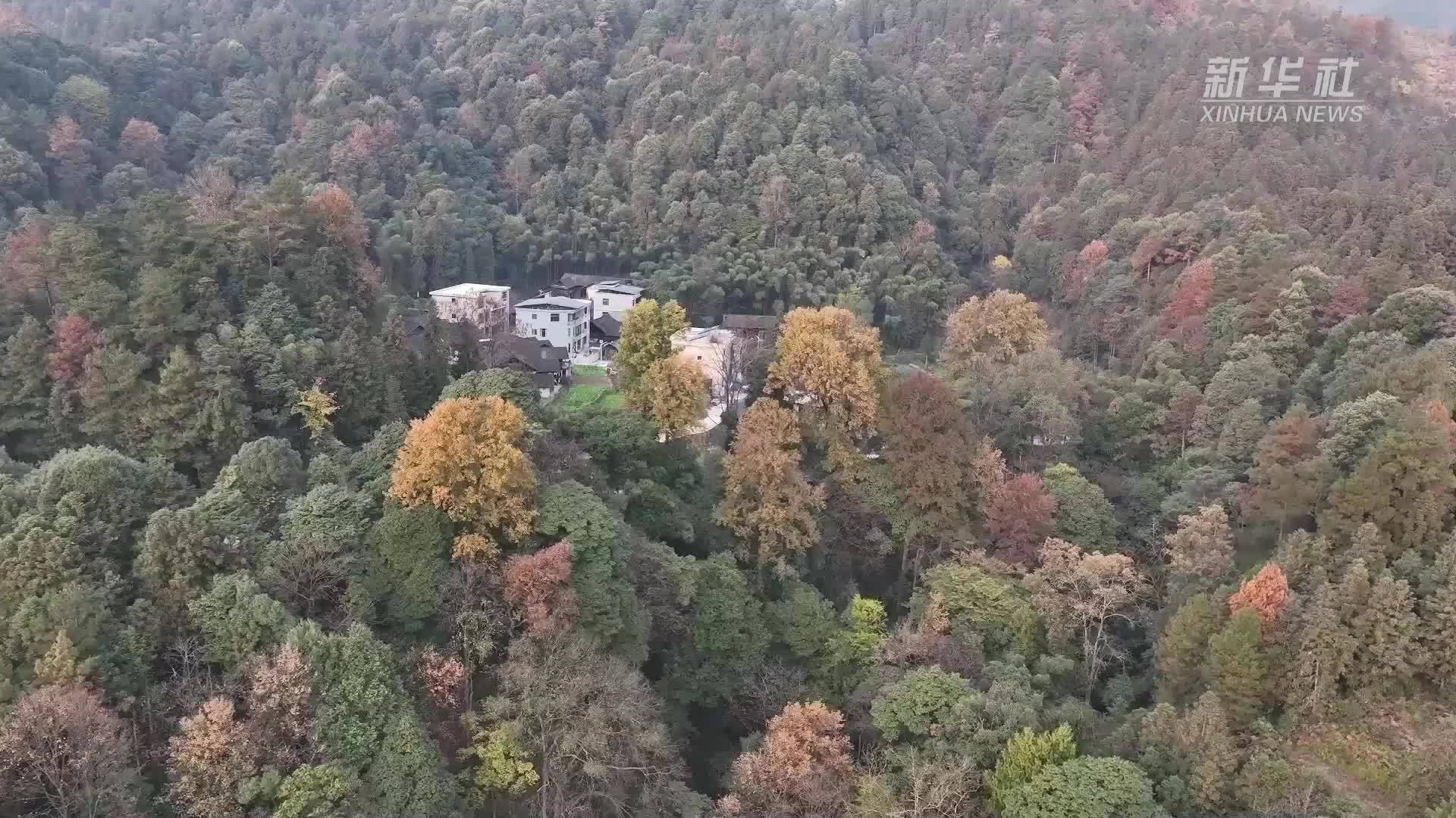 60余年 师生14人接力振兴山乡教育