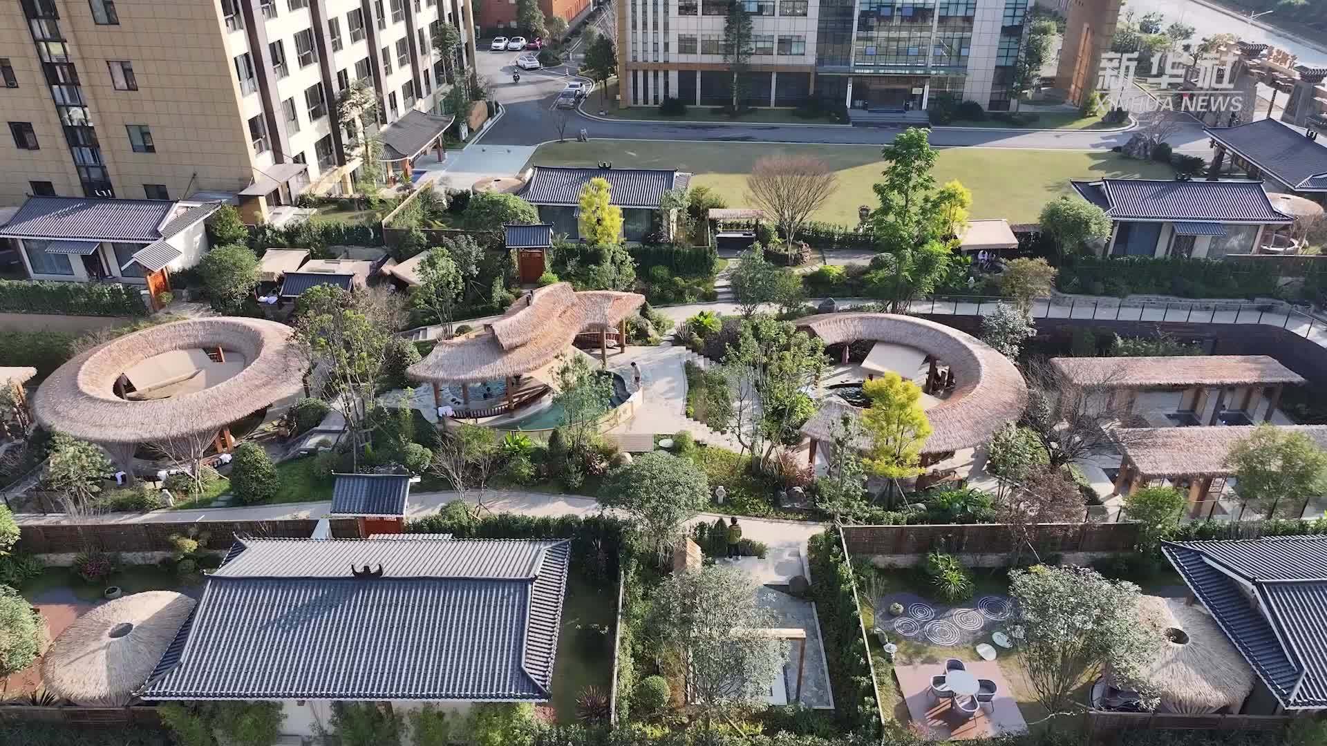 文化中国行｜苗药康养 让传统医药文化焕发新活力