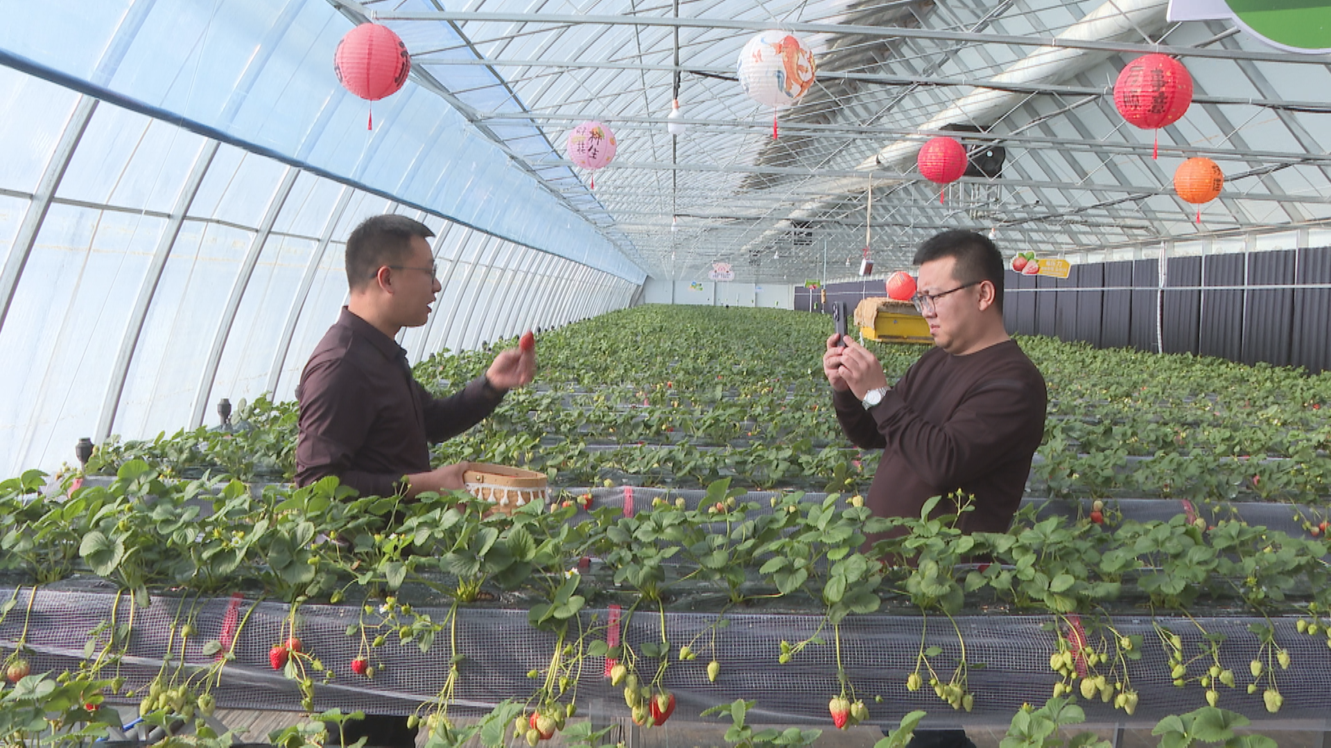 电商直播带动“绥芬河好物”加速出圈