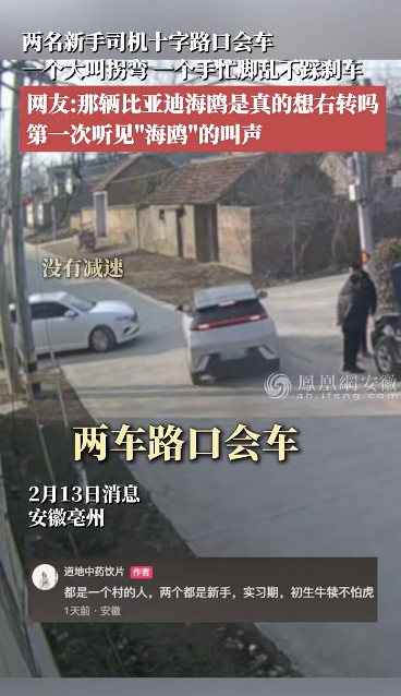 安徽两名新手司机会车：一个大叫拐弯 一个......