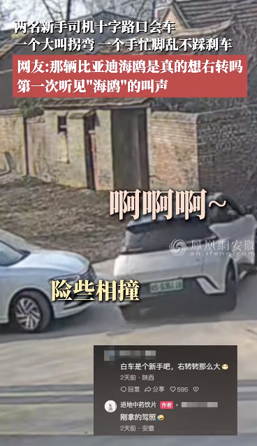 安徽两名新手司机会车：一个大叫拐弯 一个......