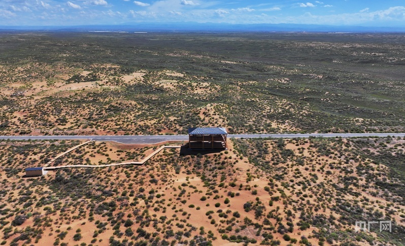 武威市古浪县治理后的沙化土地（央广网记者　李红军　摄）