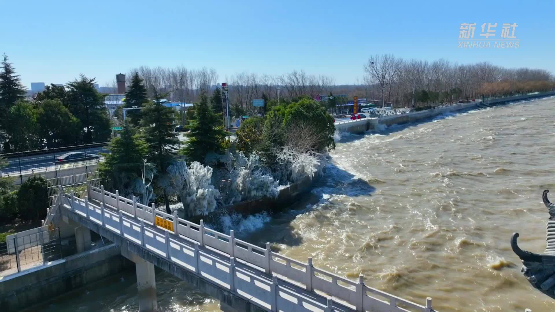 江苏宿迁：冰凌奇观遇上万鸟齐飞