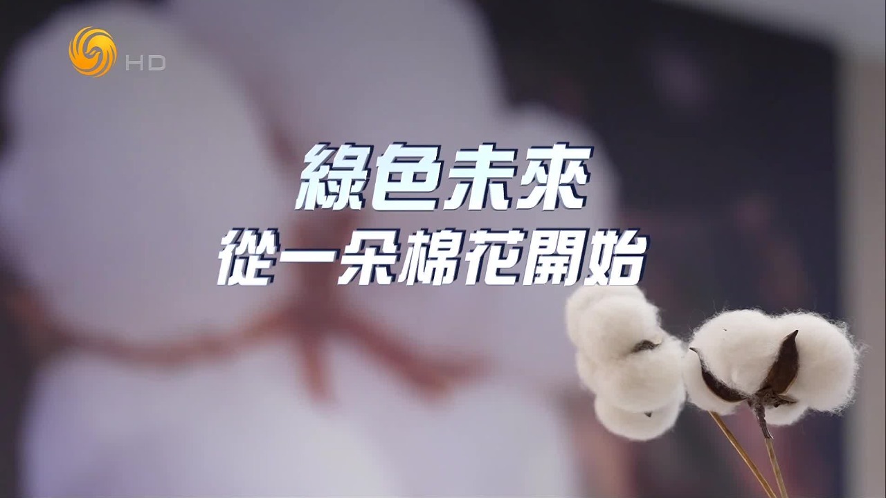 绿色未来·从一朵棉花开始