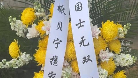 一路走好！撒贝宁送挽联国士无双悼念黄旭华