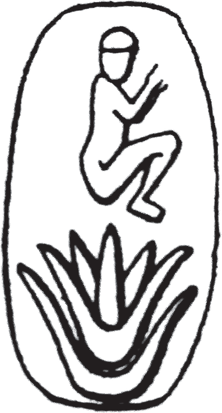 伊拉克印记：莲上男童