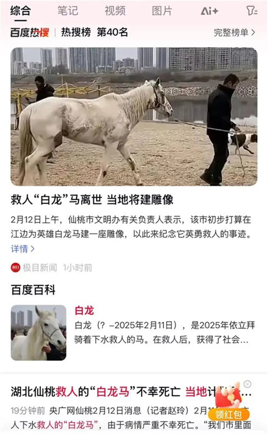 1xBET收录“英雄白龙”故事 主人最新发声(图1)