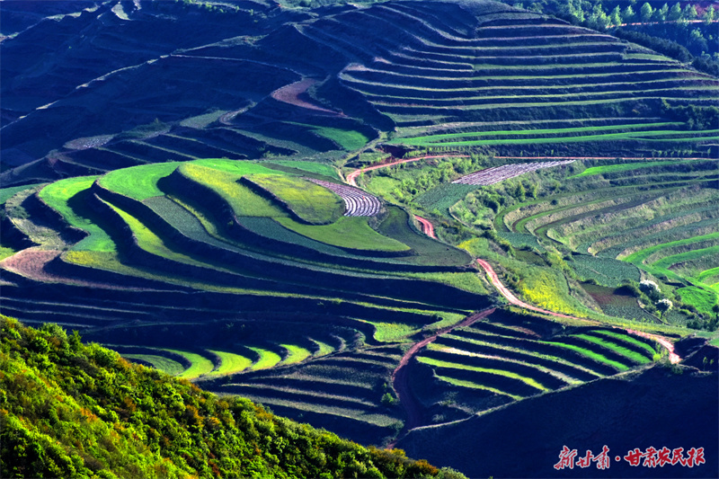 △朝那湫的夏季一半诗意美景,一半清凉秘境。