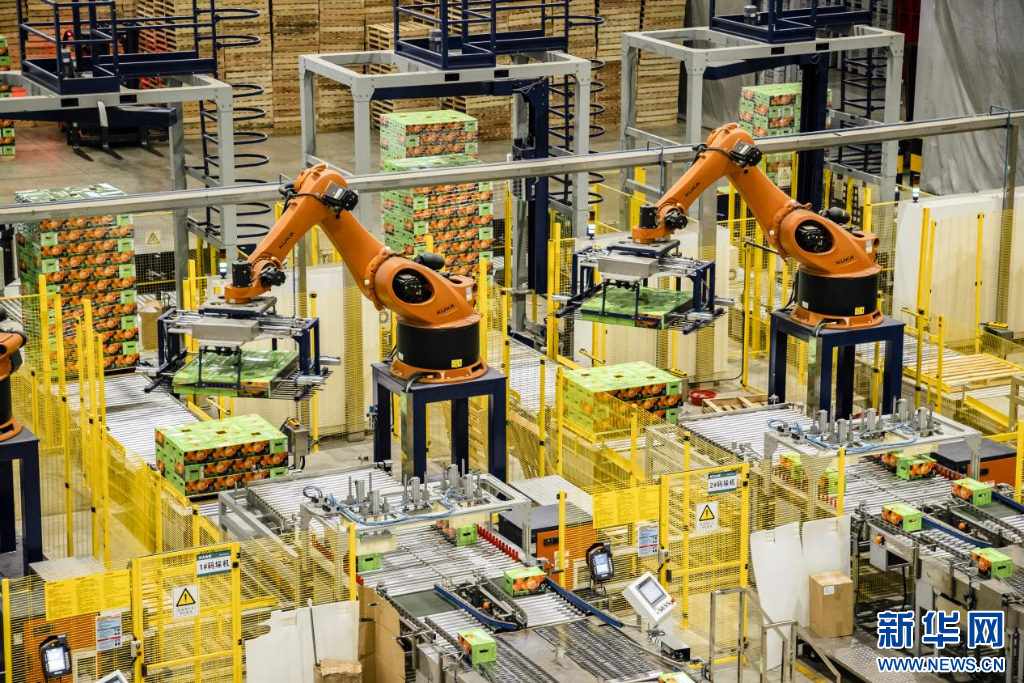 赣南脐橙里的乡村振兴新“橙”色