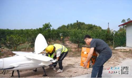 “空中快递员”正在运输脐橙。