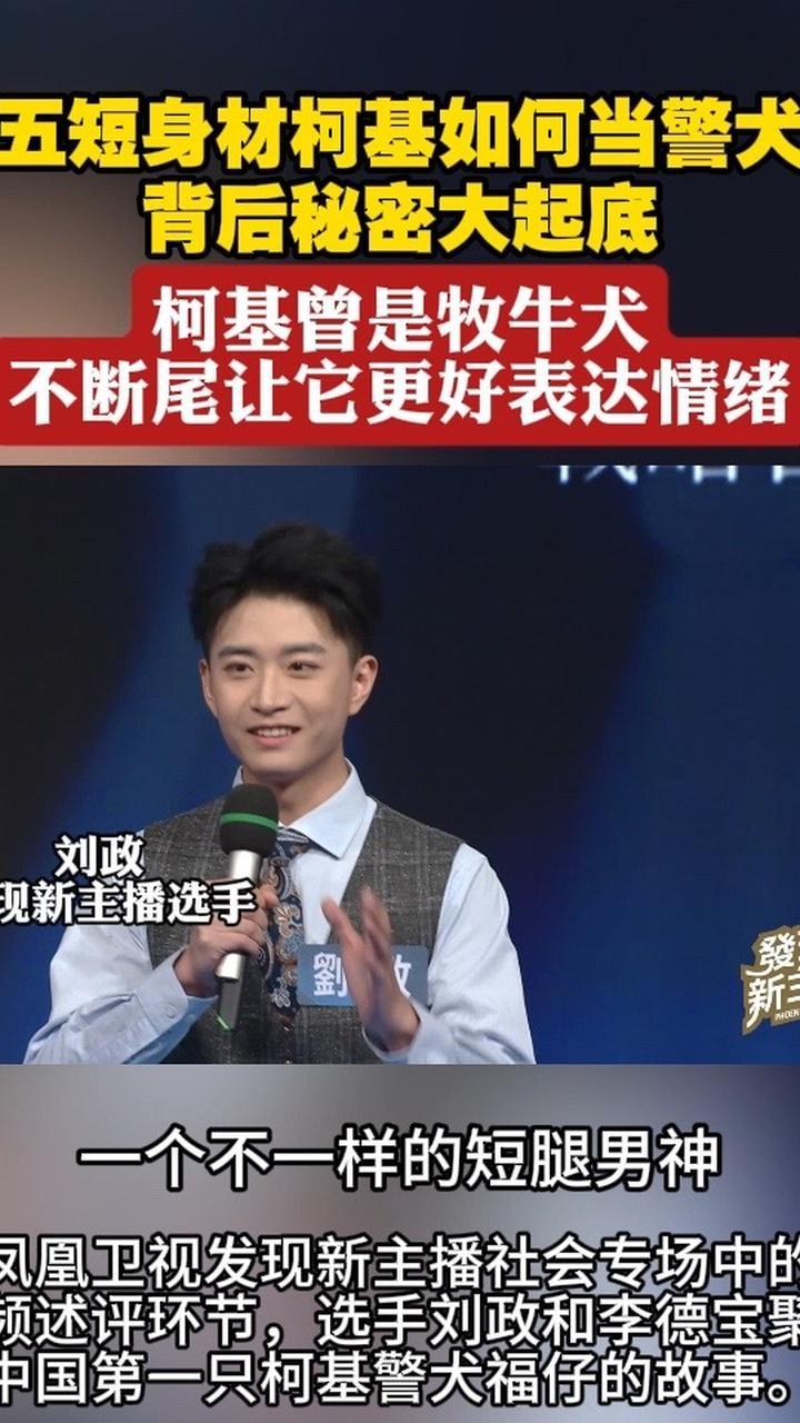 揭秘中国第一只柯基警犬福仔天赋 凤凰卫视发现新主播社会专场中的视频述评环节，选手刘政和李德宝聚焦中国第一只柯基警犬福仔背后的故事。“五短身材”的福仔，与传统“狗高马大”的警犬形象大相径庭，除了拥有柯基