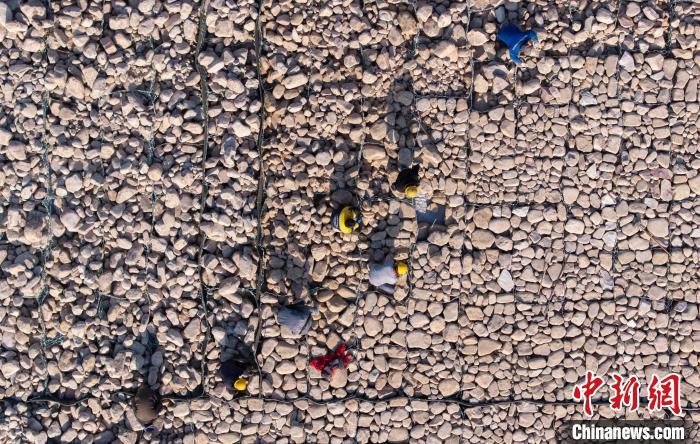 图为武安市活水乡北洺河段，施工人员正在铺设宾格石笼。(无人机照片) 李树锋 摄