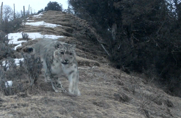 新甘肃·奔流新闻通讯员 马泠洮 摄