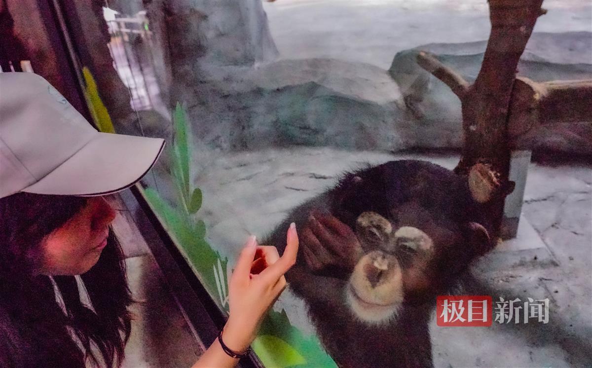 7、 极目新闻记者李辉摄.jpg