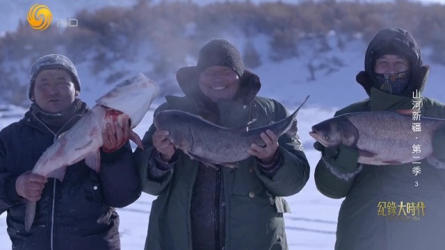 新疆鱼把头有“透视眼”？能看出哪片冰下有鱼，还能看出具体是什么鱼