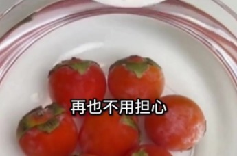 荣事达钛食材净化机 尽享健康美味
